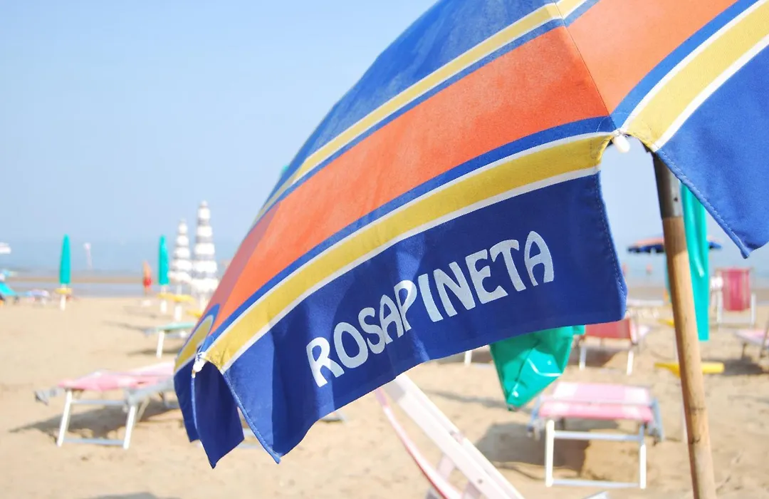 Hotel Rosapineta - Adults Only-1